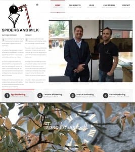 website design - example of a bad website
