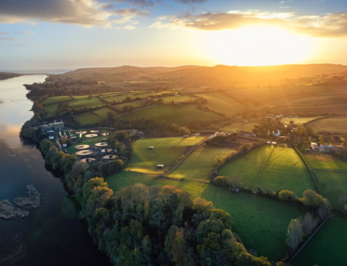 The Importance of Professional Website Design: Insights from a Devon Marketing Agency